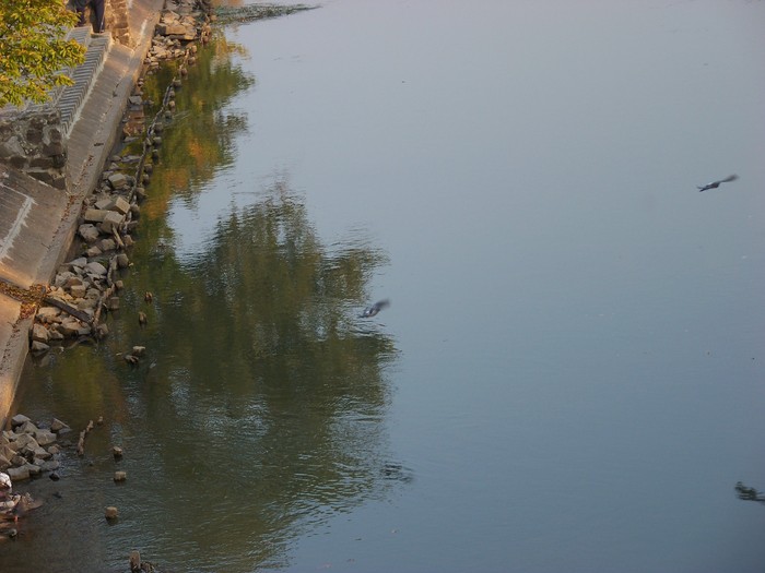 100_1903