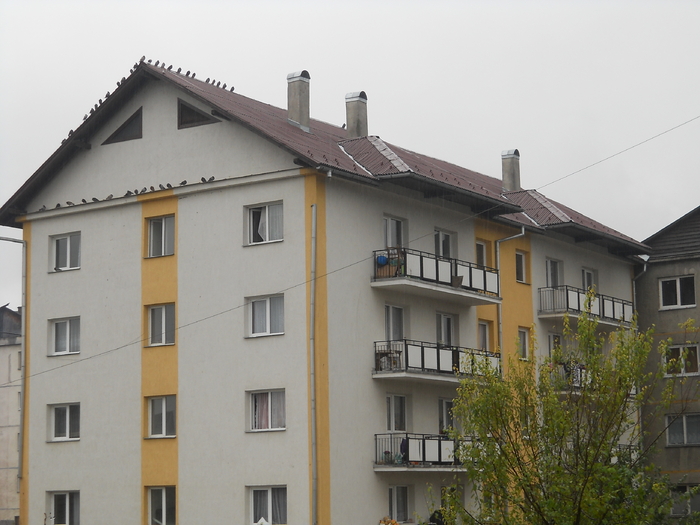 stam pe ganduri,apoi... - album pestritz