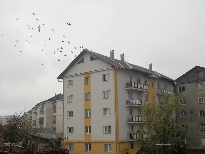 facem totusi un tur,si... - album pestritz