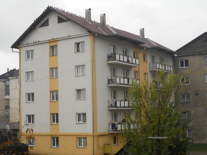 ...la loc comanda - album pestritz