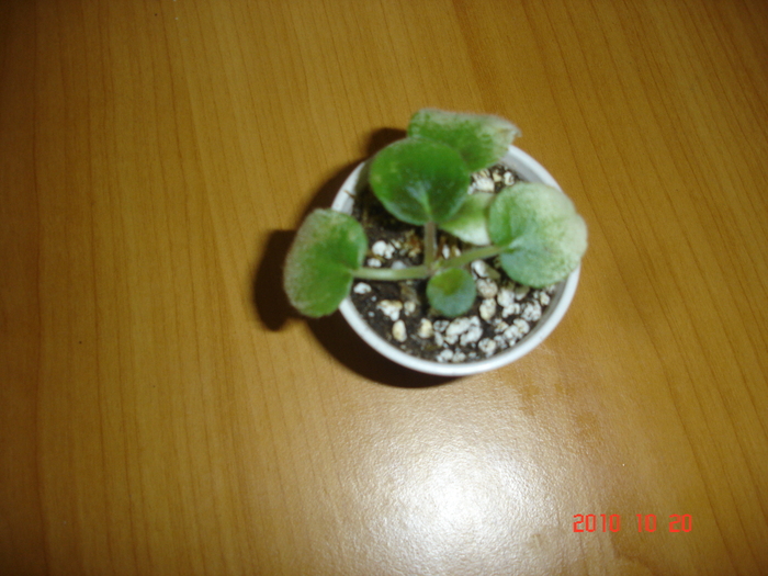 DSC09560