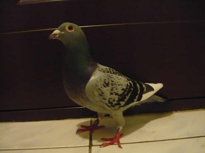 65