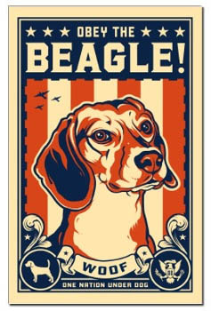 0a arta beaaagle - tablouri cu beagle