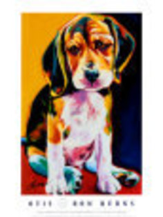 10044086 - tablouri cu beagle