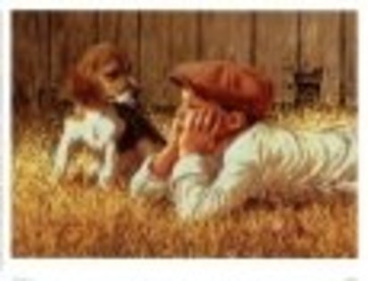 10104945 - tablouri cu beagle