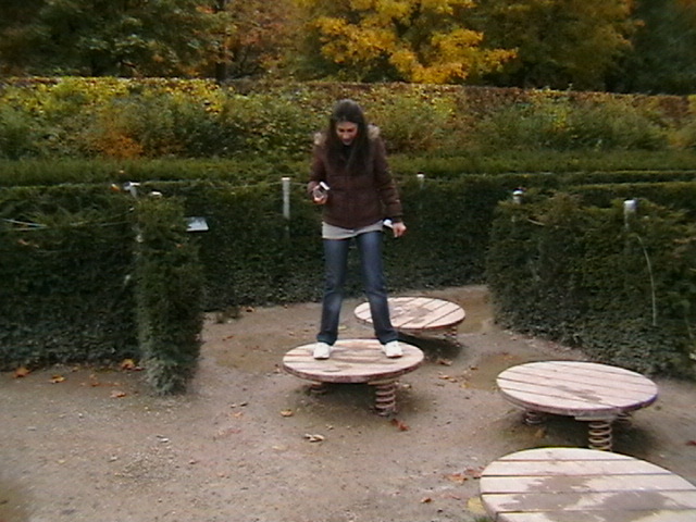 IMGA0973 - vacanta la VIENA