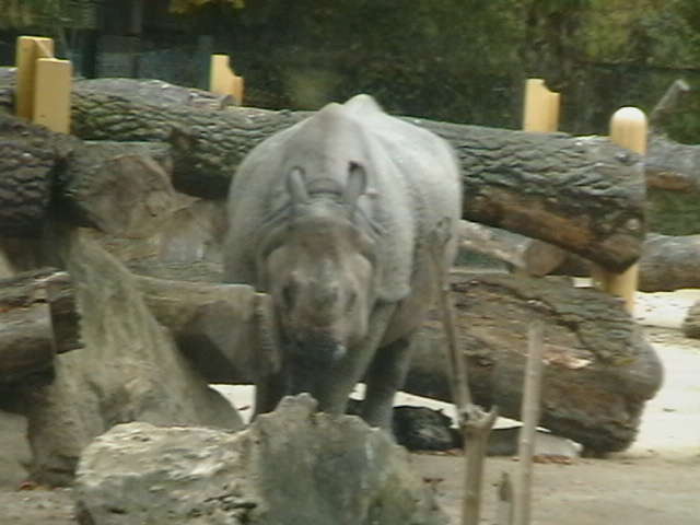 IMGA0015