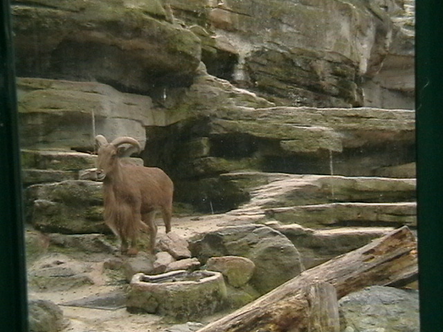 IMGA0025