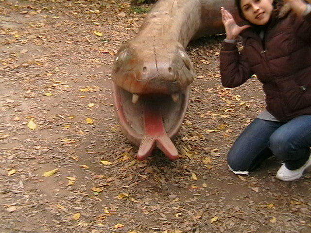 IMGA0175 - gradina zoologica din VIENA