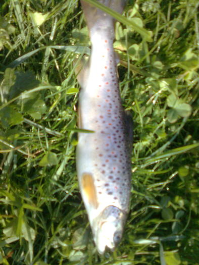 ingigen - cu gandul la pescuit