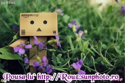 21621925_HNPBXDSMW