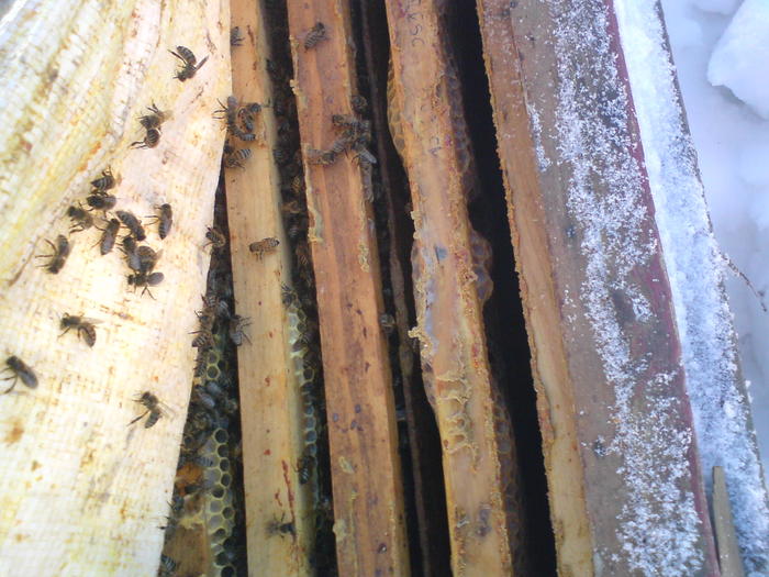 DSC00018