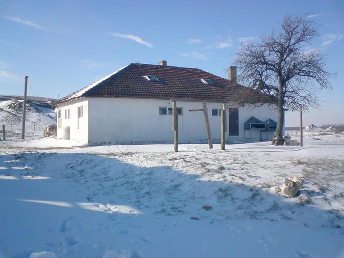 DSC00020