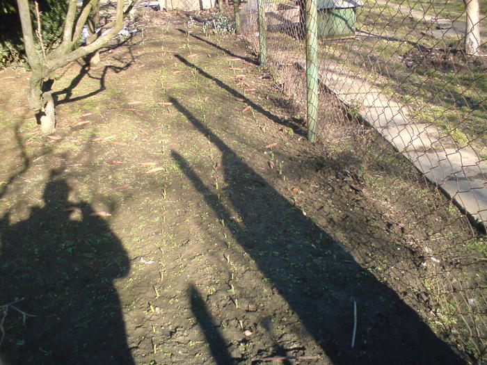 DSC00035 - vara 2010