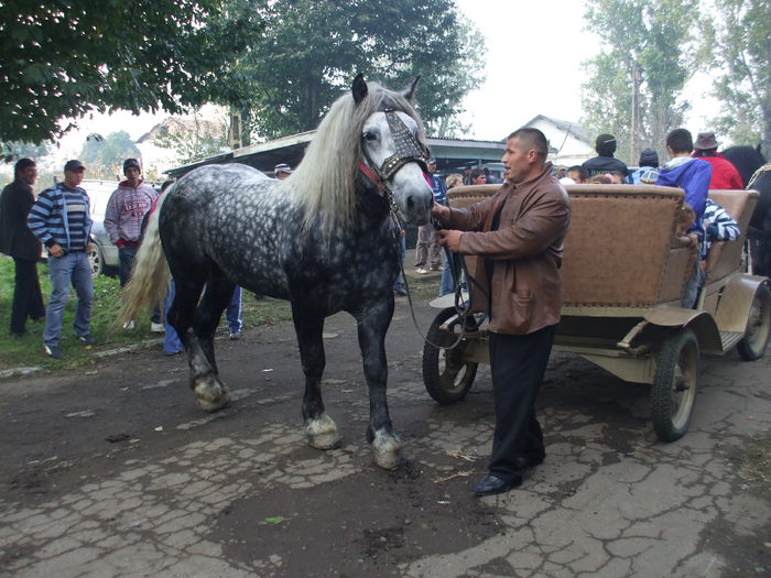 Popouti-II-3.10.2010 006