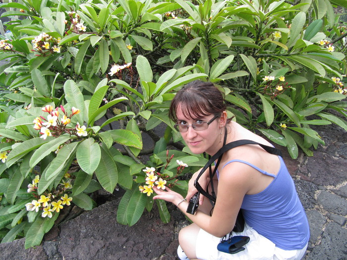 IMG_4549 - Plumeria in Lanzarote