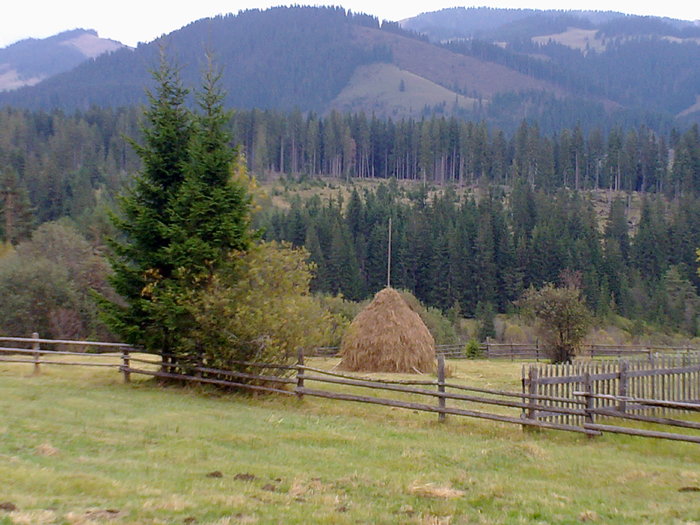 03102010398 - Peisaje frumoase din Bucovina