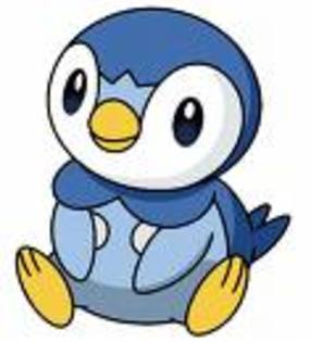 piplup (si mai bine)