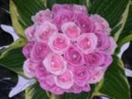 2236227225_a434c7e337_b_thumb - buchete