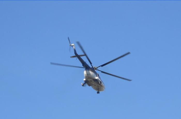 phiu...pleaca... - album pestritz