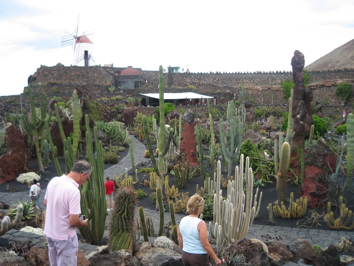 IMG_3100 - Jardin de cactus