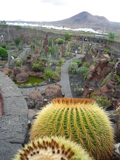 IMG_3124 - Jardin de cactus