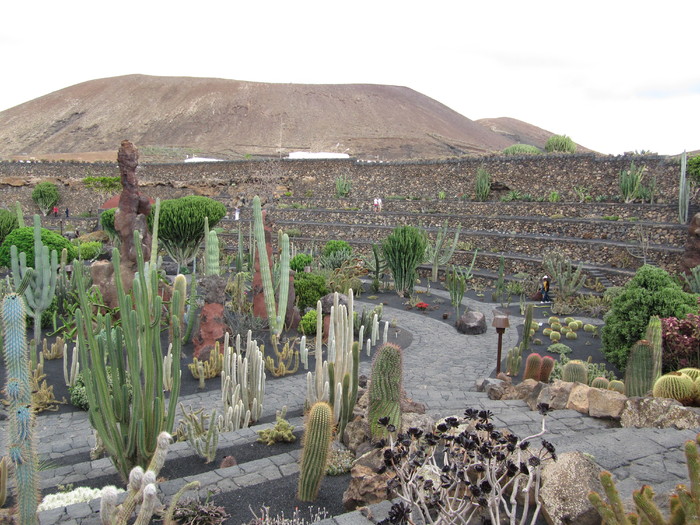 IMG_4659 - Jardin de cactus