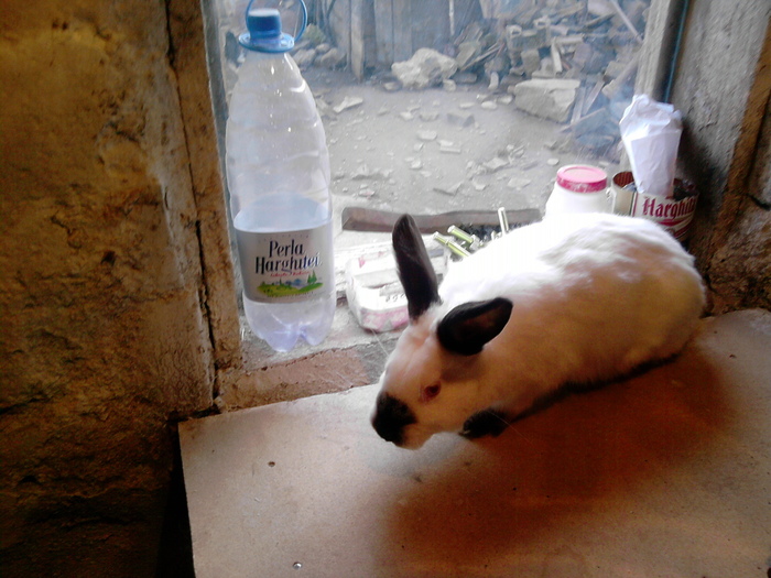 P231010_17.02_[01]; tot el
