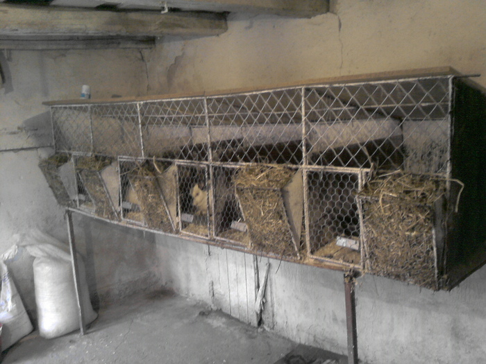 P231010_17.05; custile
