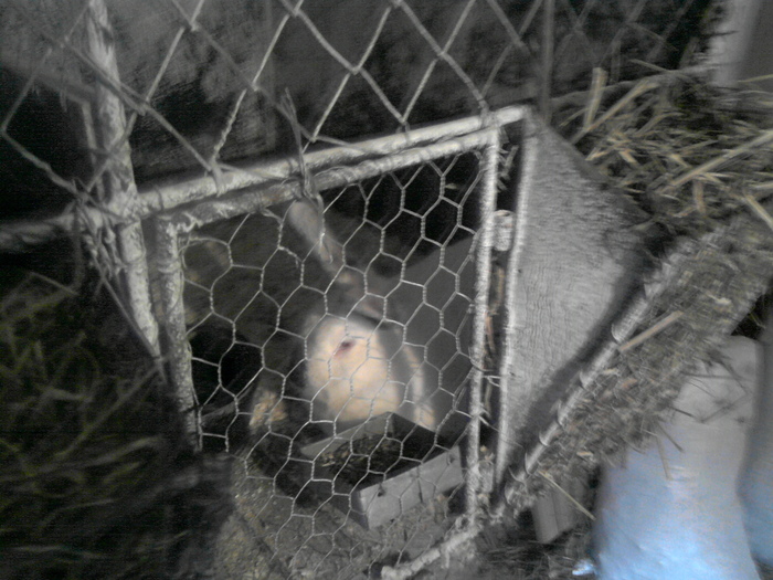 P231010_17.05_[01]; in cusca
