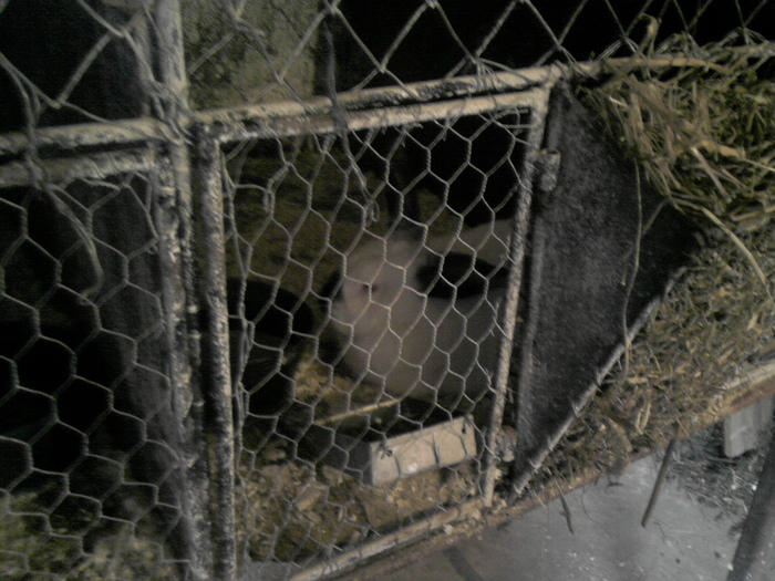 P231010_17.05_[03]; in cusca
