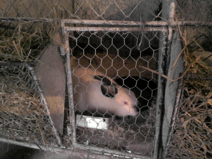 P231010_17.06_[01]; in cusca
