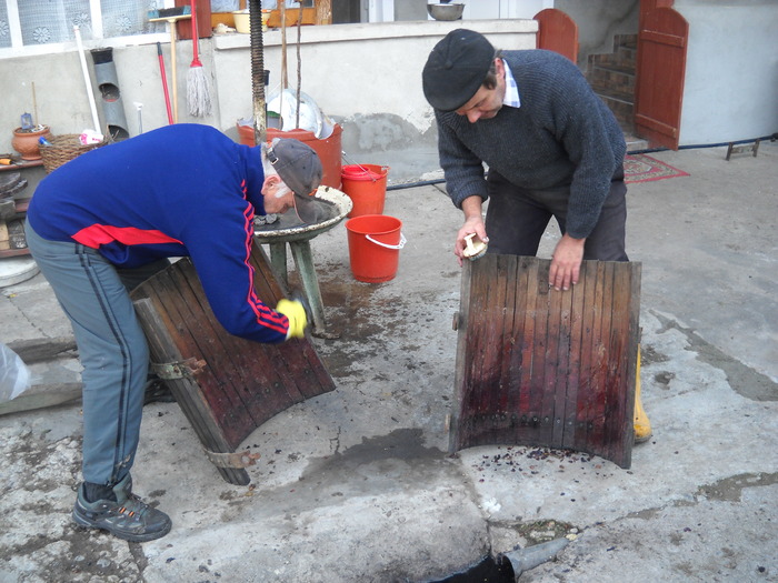 .treci si pune mana la treaba...