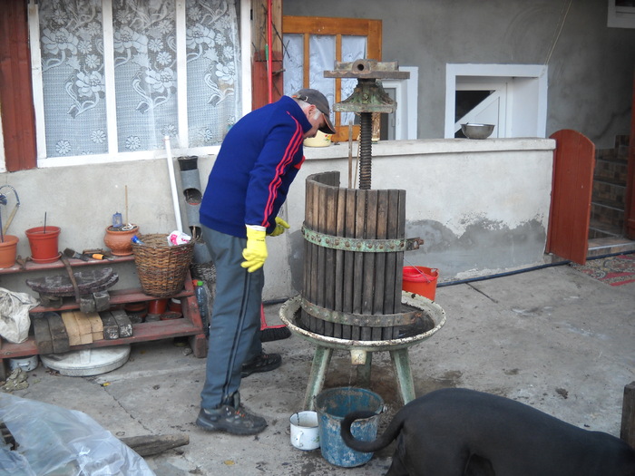 pedeapsa sa lucreze singur, singurel