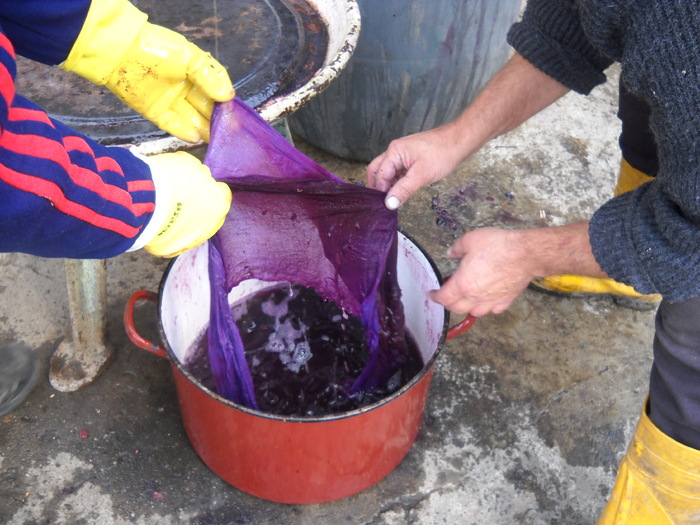 panza a fost... ALBA(inainte de stors)