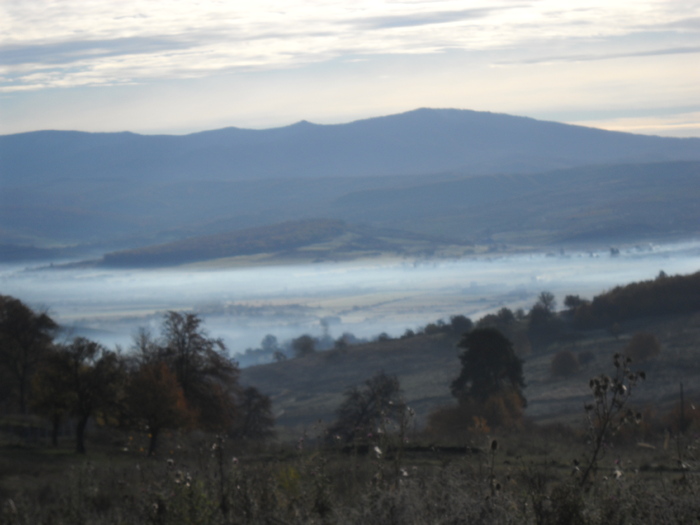 Orheiu Bistritei in ....ceata