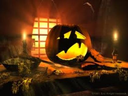 pumpkin - halloween