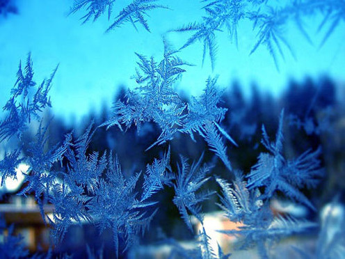 19770427_TTGSTEARJ[2] - Iarna