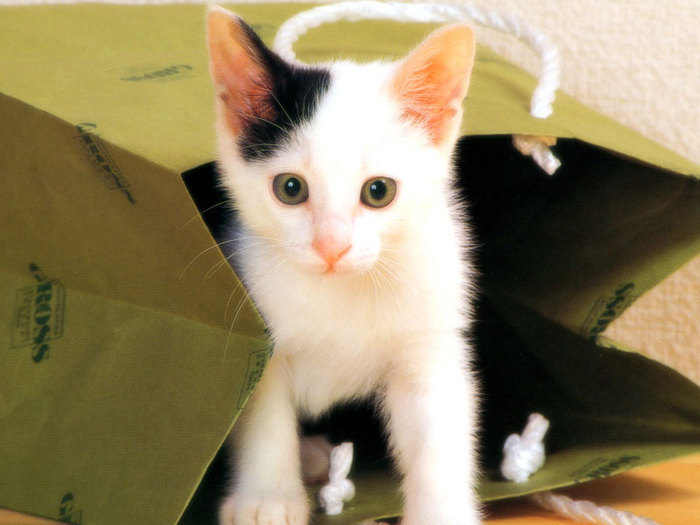 19770328_GMLUUHLFF[1]