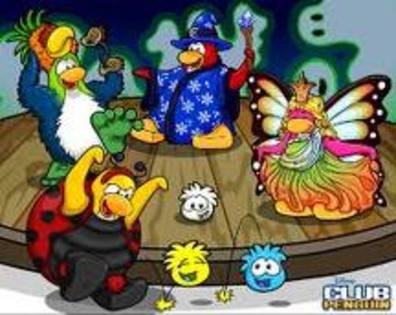 imagesCAFKIF0D - club penguin