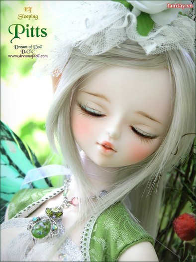 48589617_pitts¹ - Dream of doll