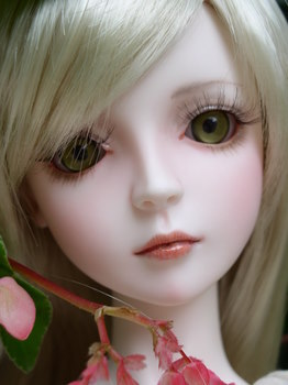 sakuraface - Dream of doll