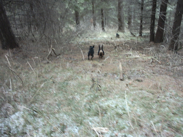 Radar, Kira si Bessi - Radar