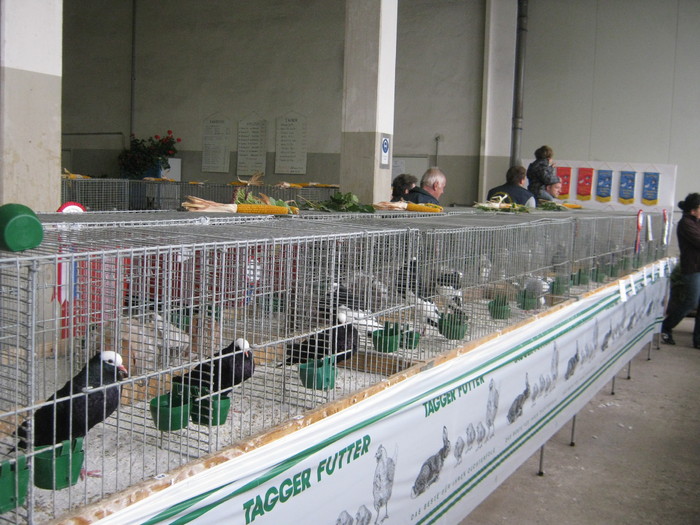 Walding gusati - Expo Walding-okt-nov-Obernzel-RFG-Michelneuchirchen
