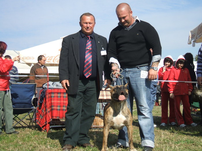 campionatul rominiei 2010; eu cu invingatoarea VEGA exc1 C A C , cacib ,B O O ,BEST BEACTH alaturi de D L albitru MARIUS ILIEV
