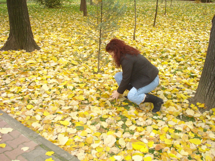 FRUMOASE SI COLORATE FRUNZE! - EU