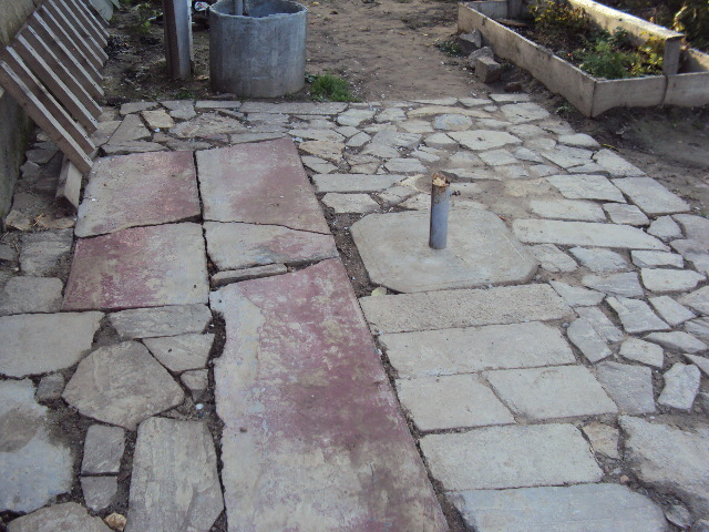 DSC05515