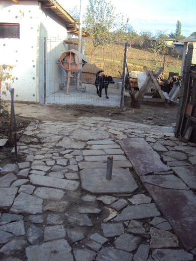 DSC05516 - 2010