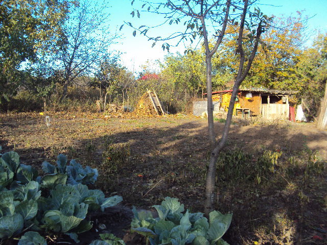 DSC05522