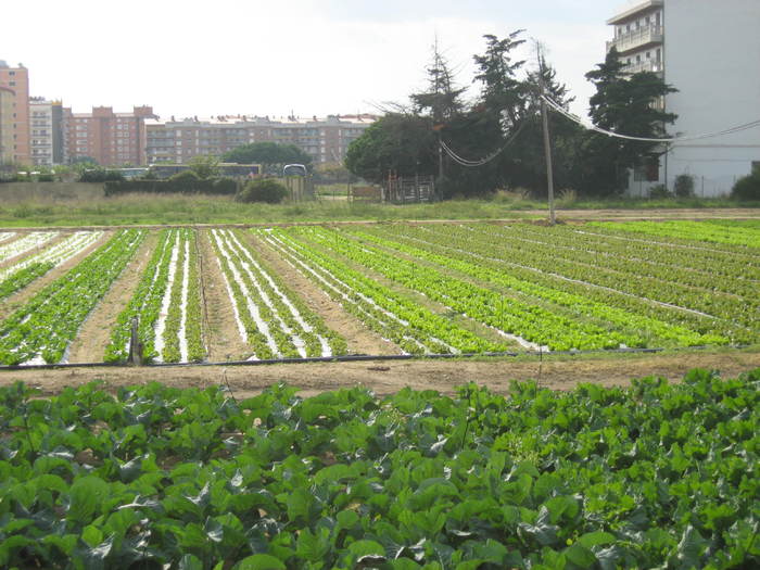 IMG_8115 - 09 - Spania - 1 - Malgrat de Mar